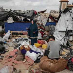 Shelter Setup Service – $100